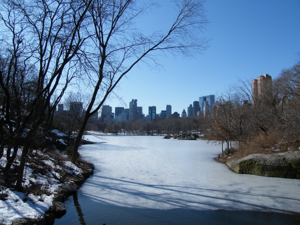 centralpark_skyline